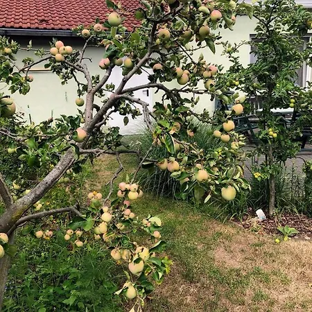 Spreewaldradler Ferienwohnung Бург